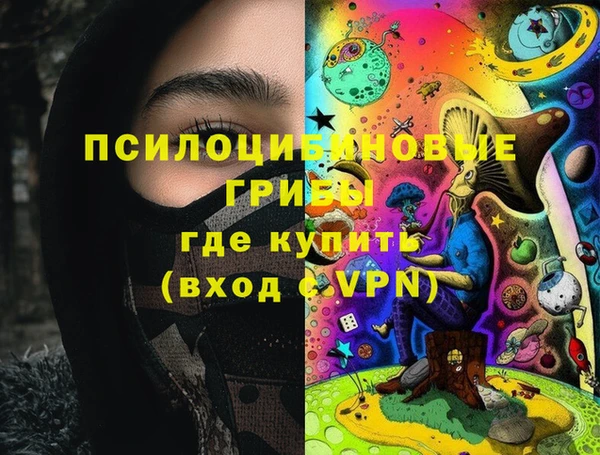 мяу мяу мука Баксан