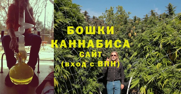 PSILOCYBIN Балабаново