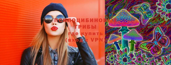 PSILOCYBIN Балабаново