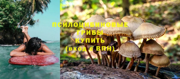 мяу мяу мука Баксан