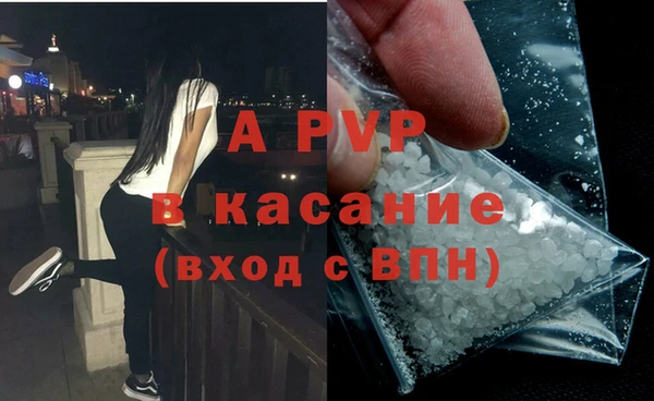 мяу мяу мука Баксан