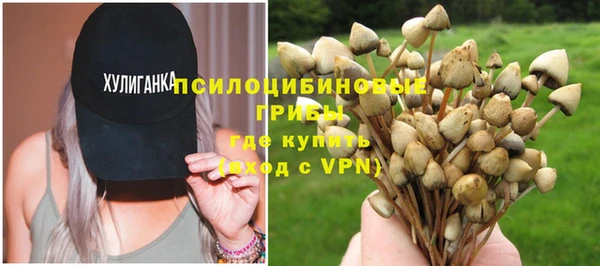 apvp Балахна