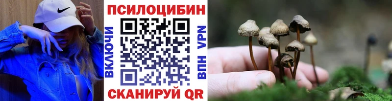 Галлюциногенные грибы Psilocybe  Уяр 